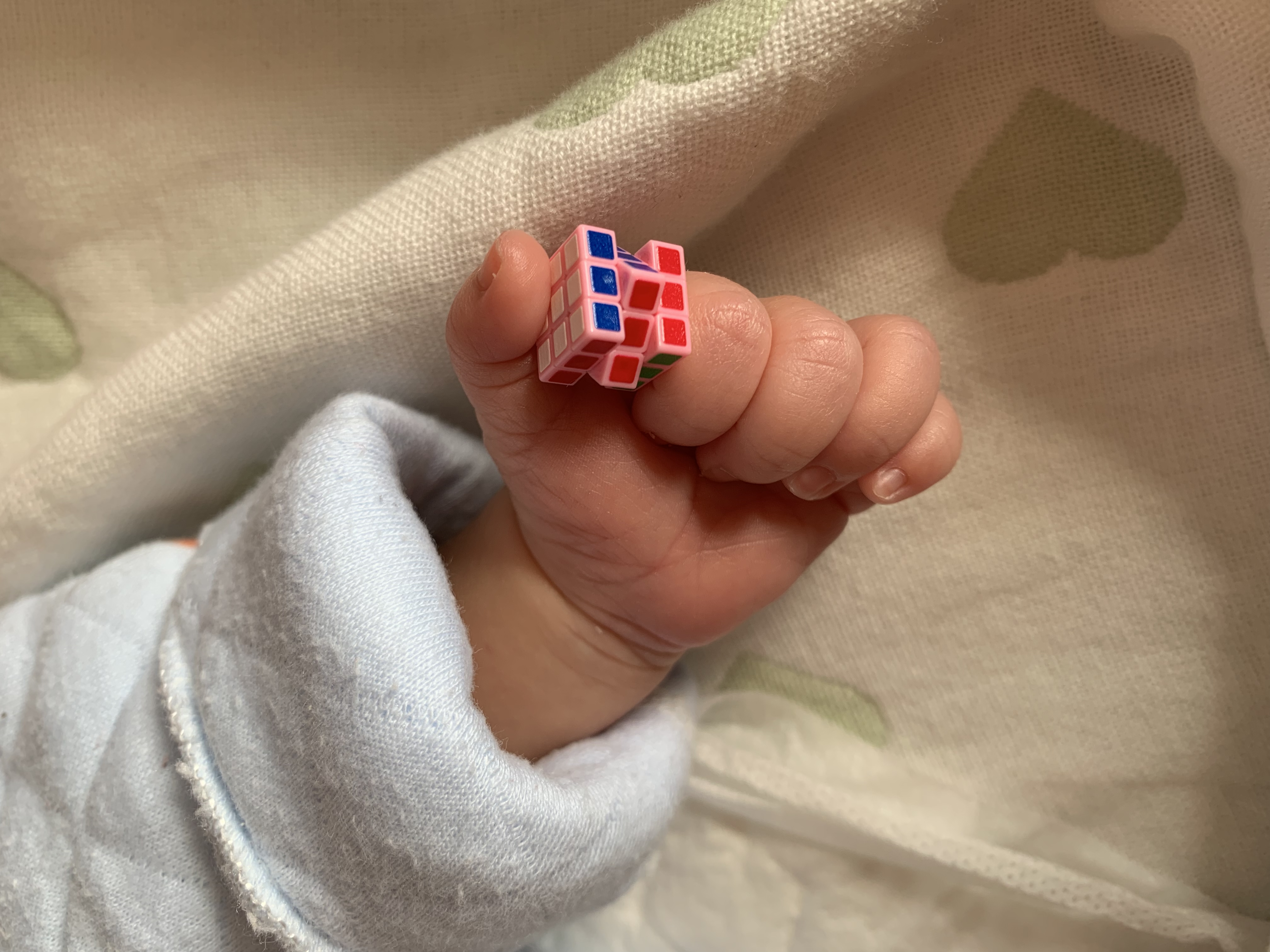 请输入图片描述