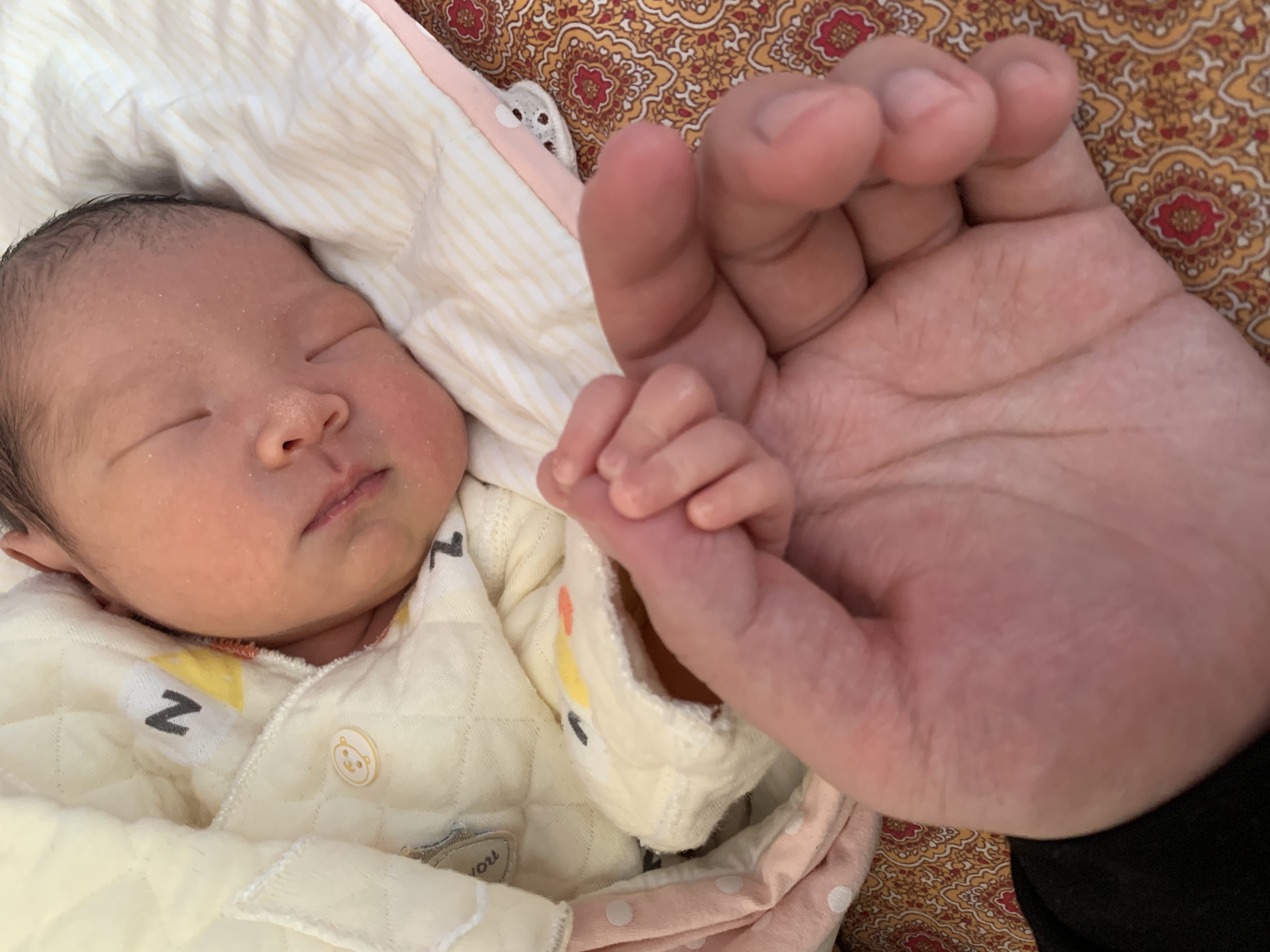 请输入图片描述