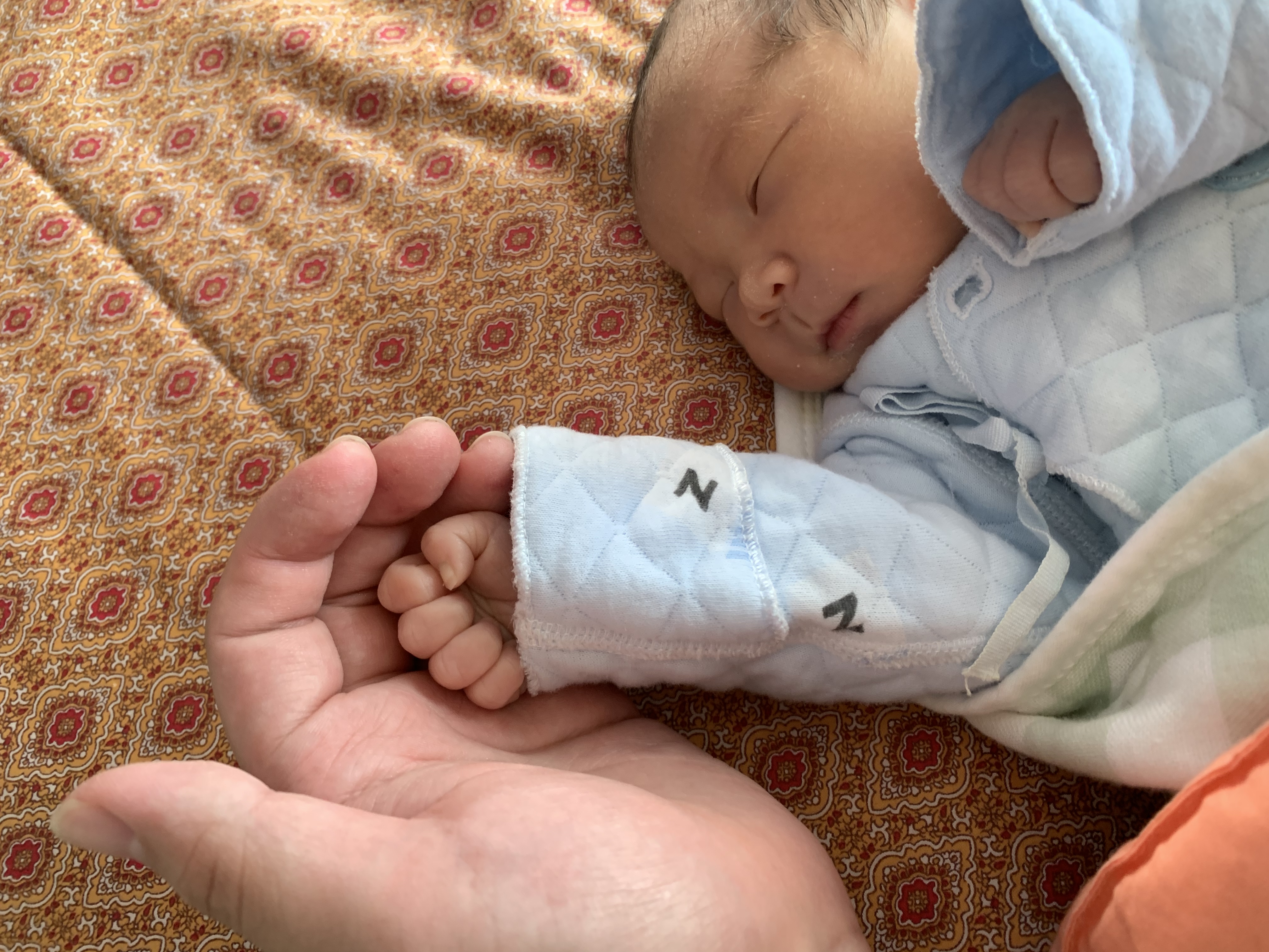 请输入图片描述