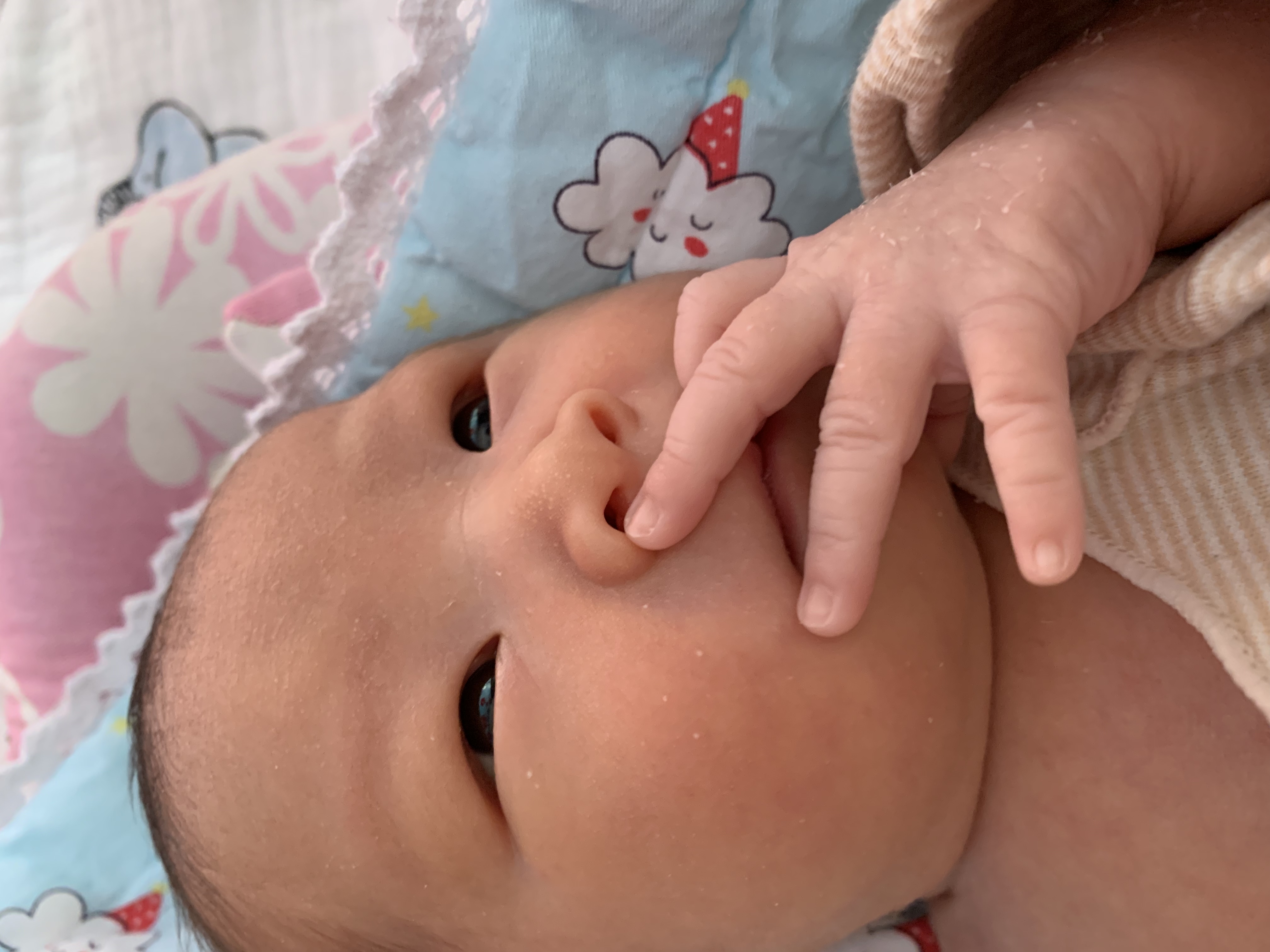 请输入图片描述