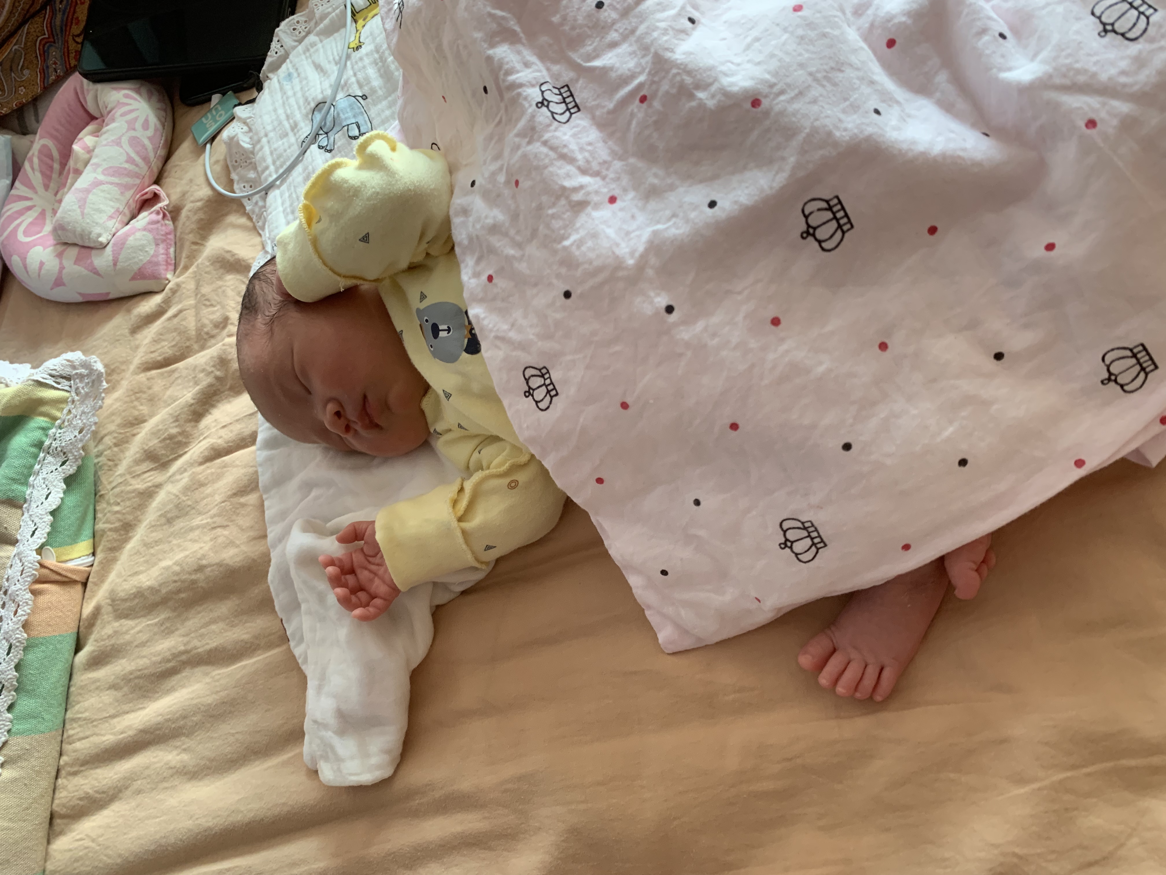 请输入图片描述