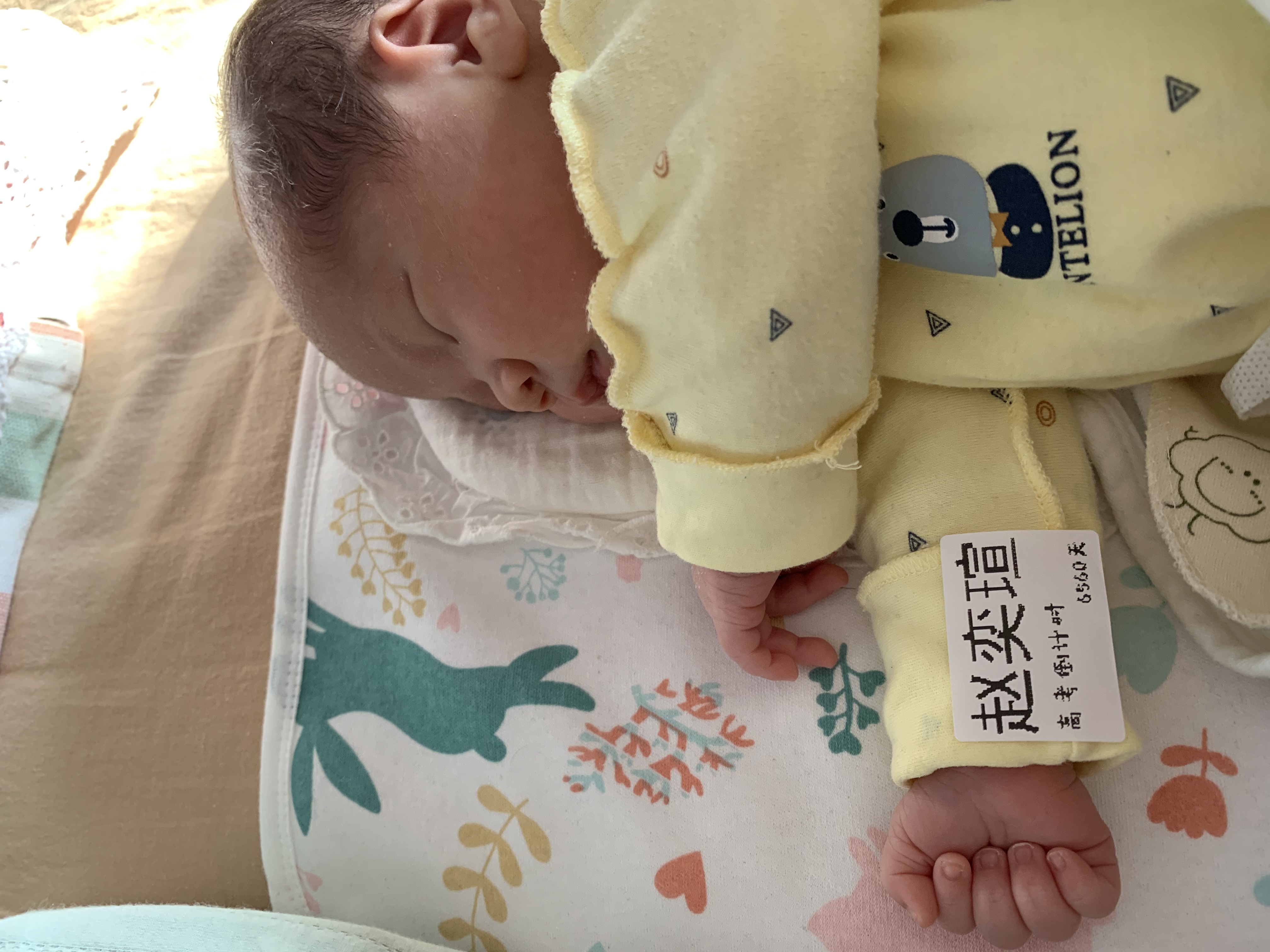 请输入图片描述