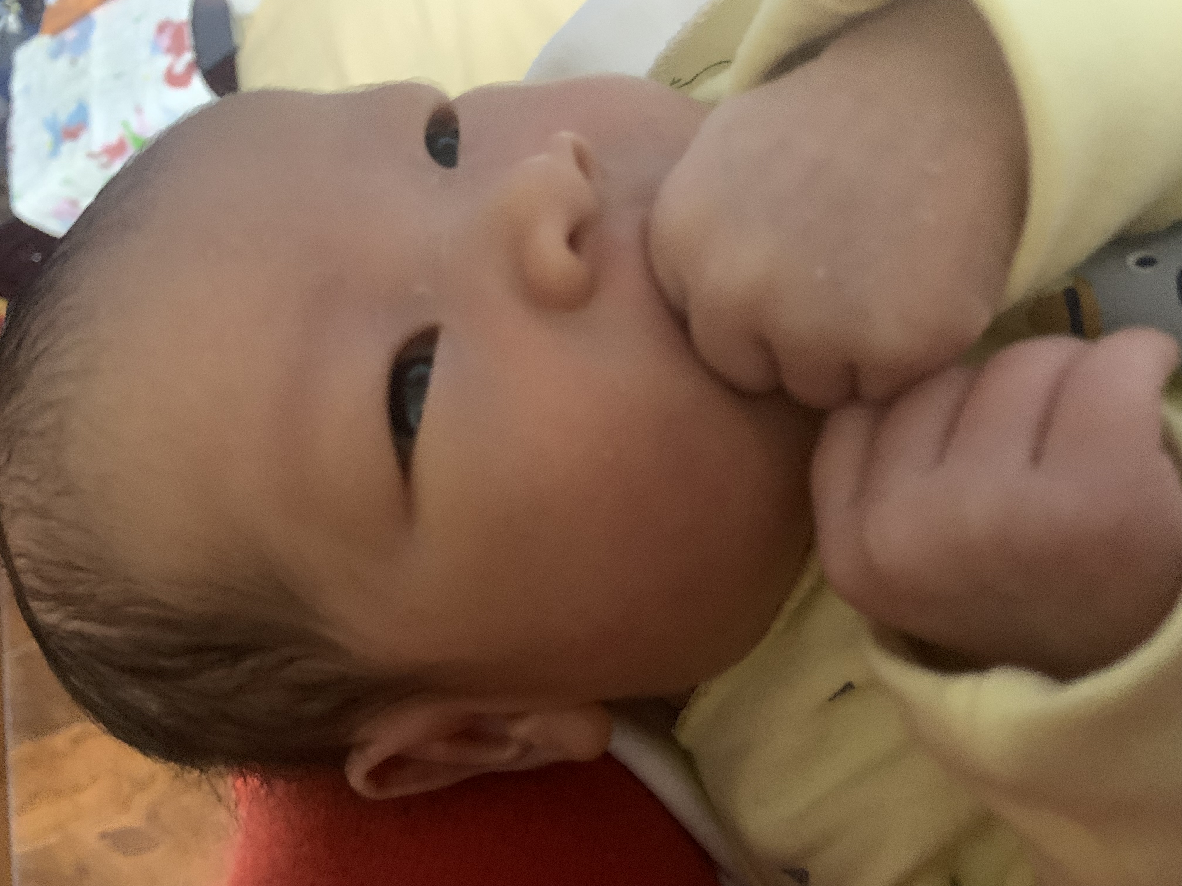 请输入图片描述