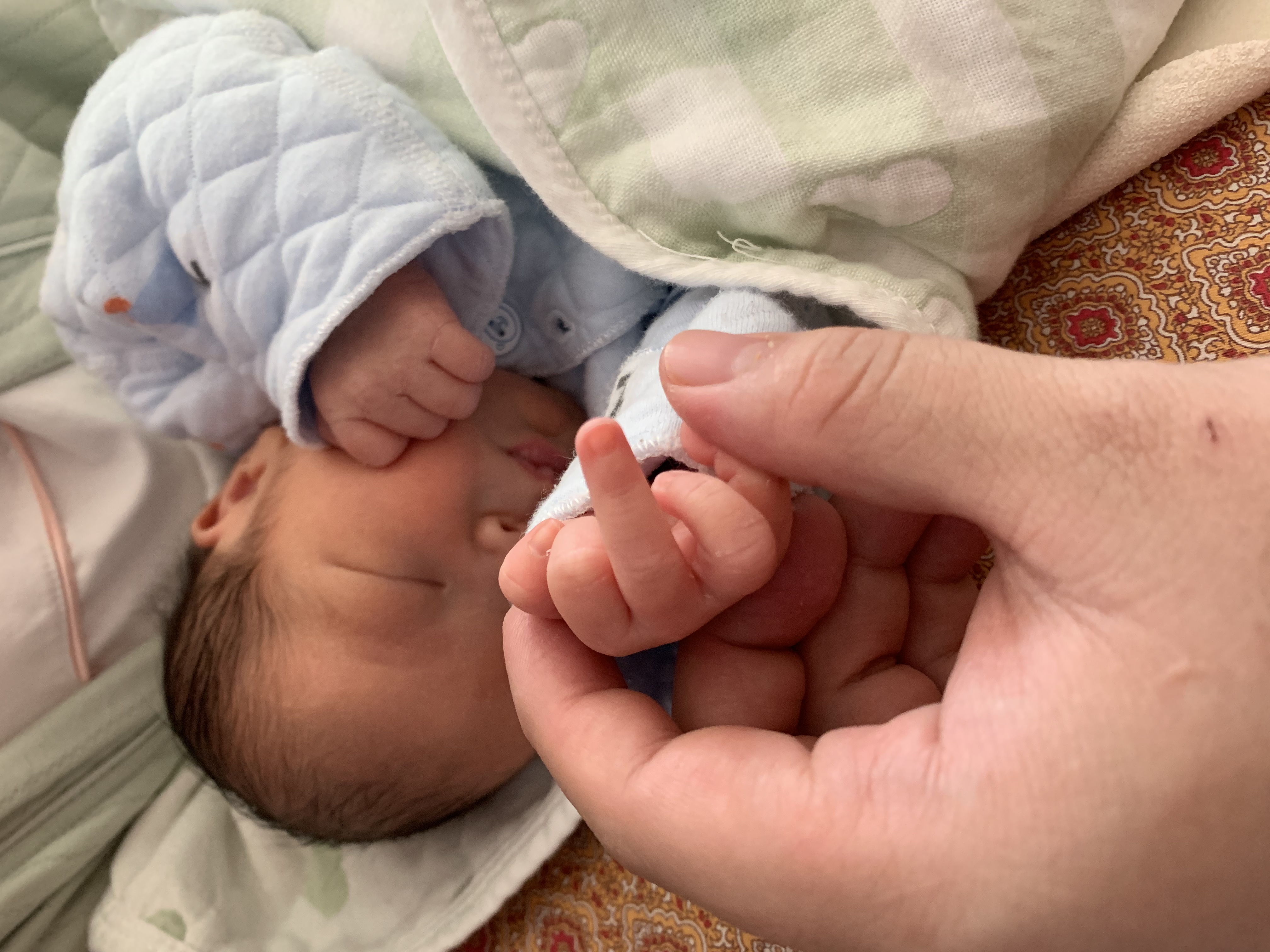 请输入图片描述