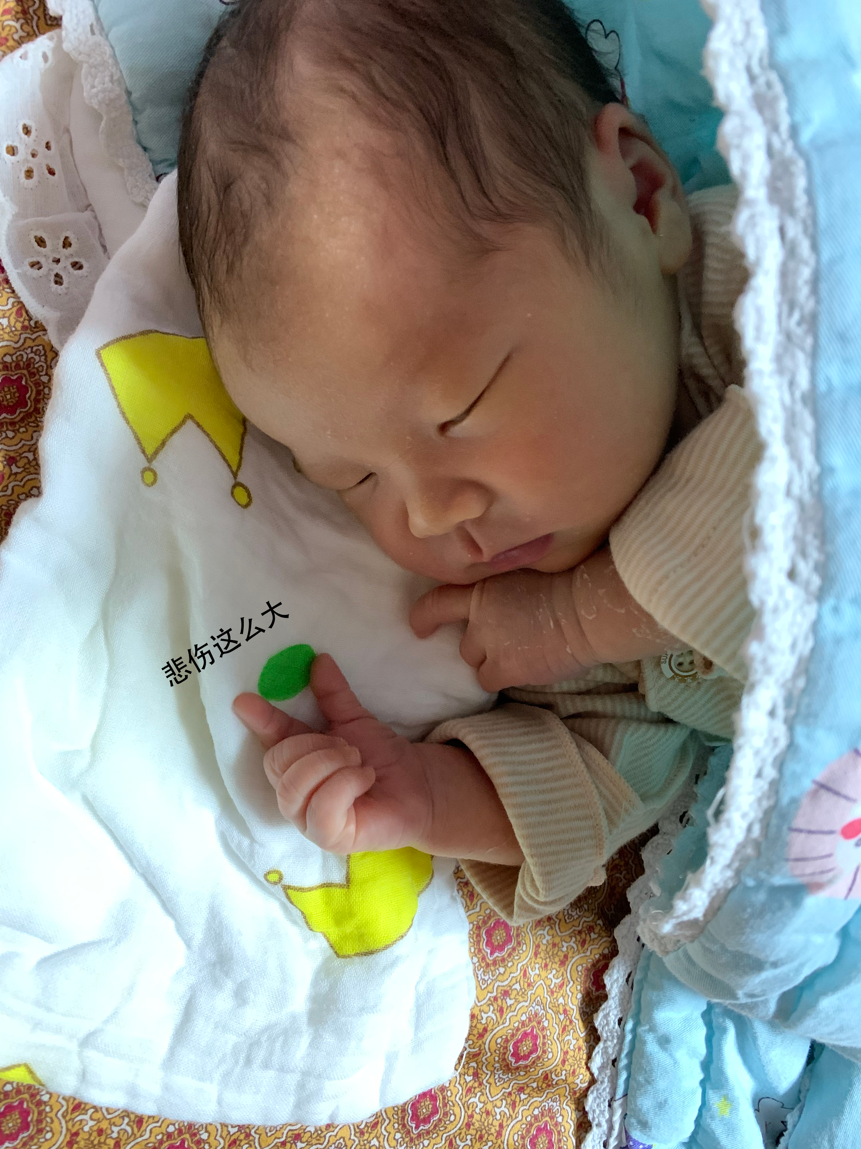 请输入图片描述